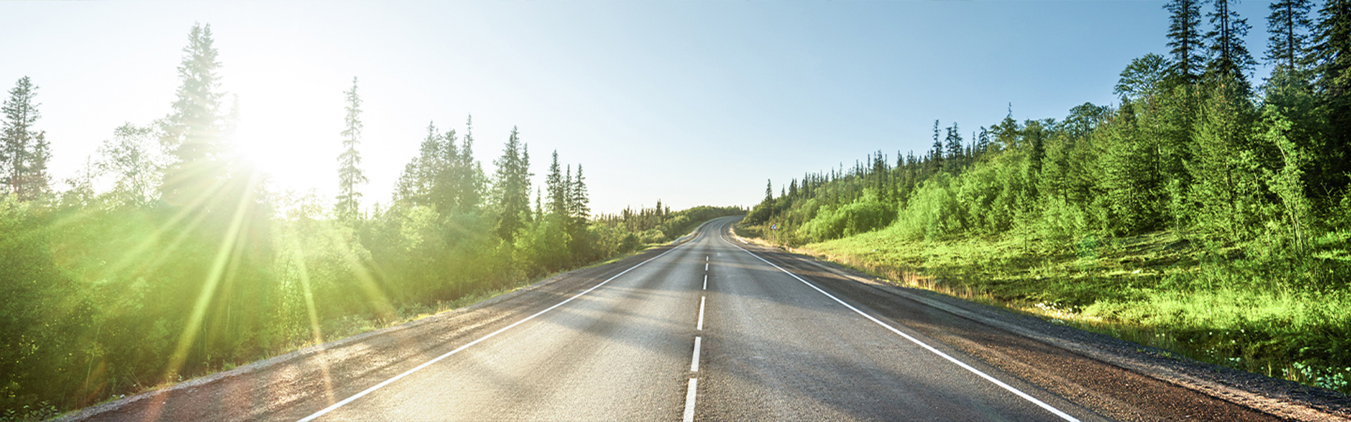 走りが良くて、環境にもお財布にもやさしい。