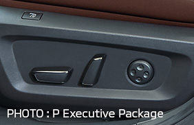 PHOTO: P Executive Package