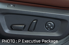 PHOTO: P Executive Package