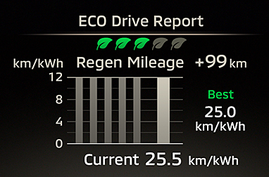 ECO Drive Report