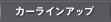 �J�[���C���A�b�v