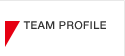 Team Profile