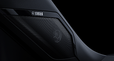 Dynamic Sound Yamaha Premium_01