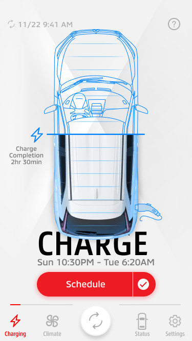 Normal charge