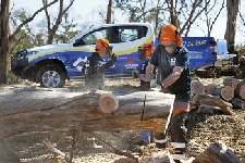 MMAL provides vehicles as disaster relief for the large-scale bushfire affected areas [Australia]