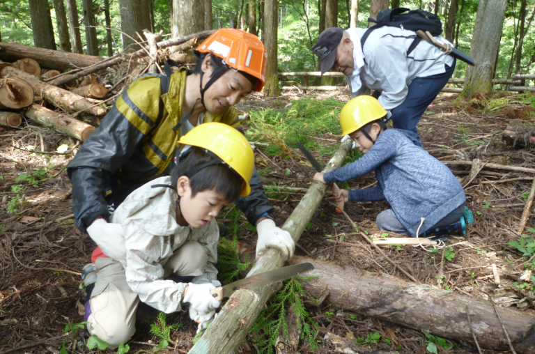 Forest Preservation Activities