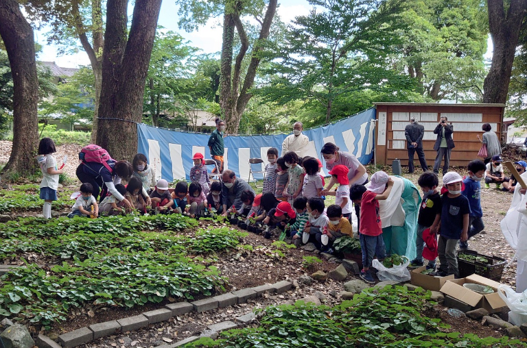 Biodiversity conservation activities