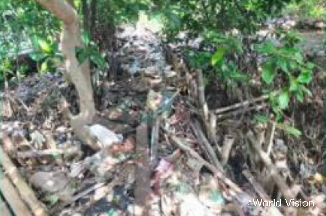 Current state(garbage dumping in mangrove forest)