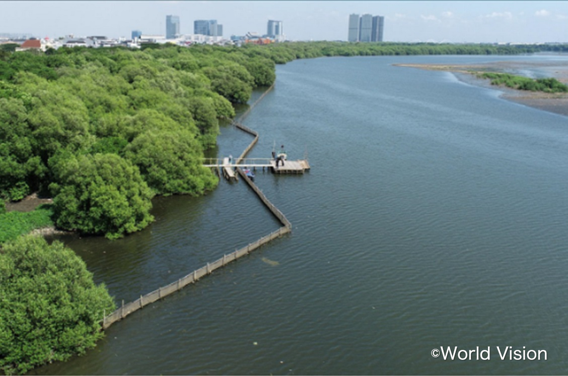 MMC Kicks off Five-Year Mangrove Plantation Project in North Jakarta [Indonesia]