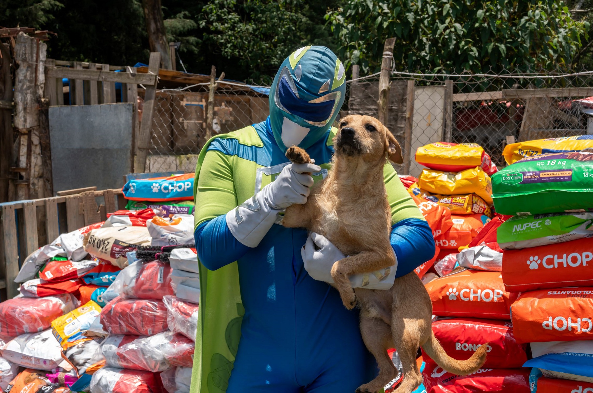 MMDM Supports Local Animal Rescue Organization with the “L200” [Mexico]