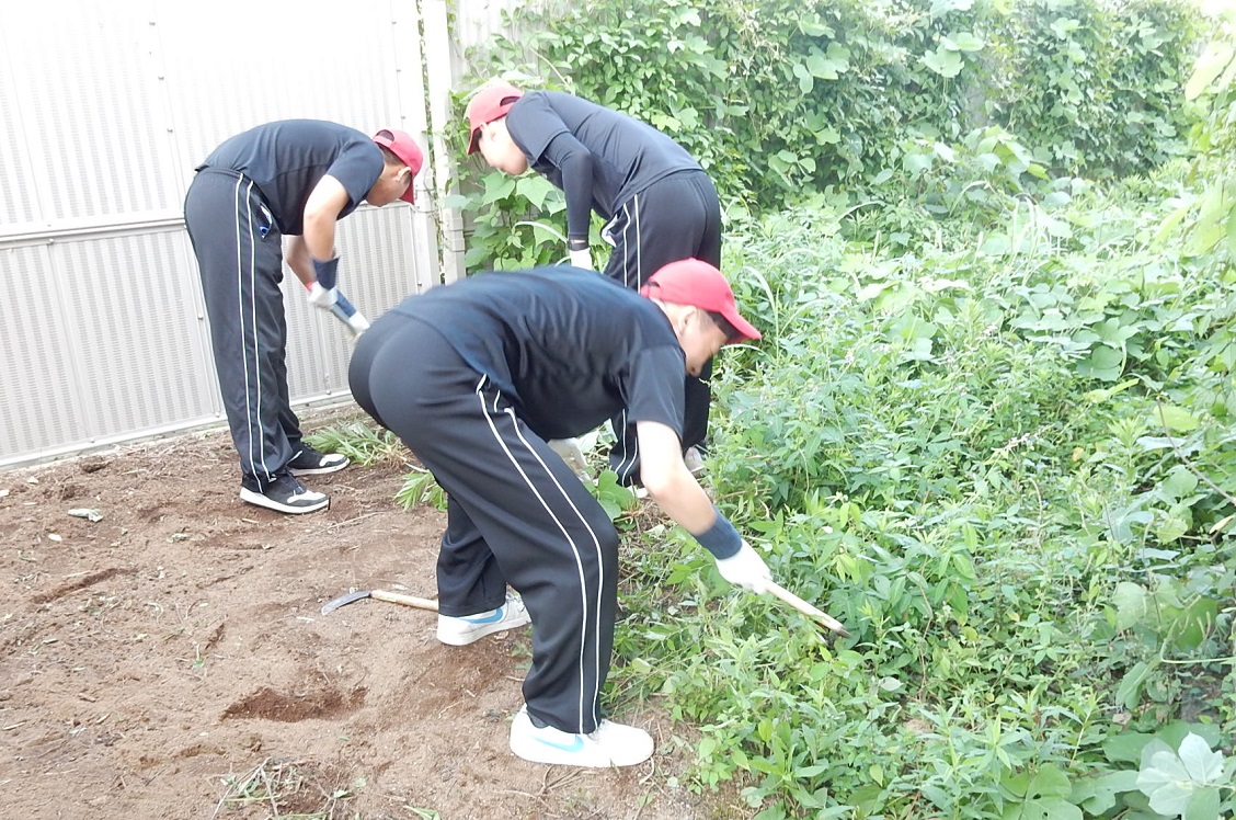 広沢小学校での窓の清掃