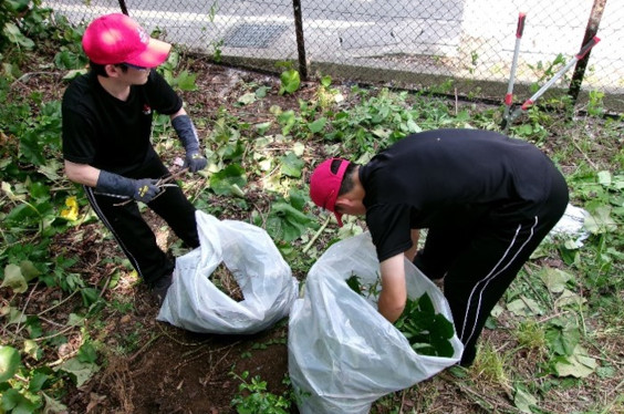 嵯峨中学校での草刈り作業