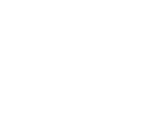 EIȃ[e탌[XE_[ggCAŊBAWANXJg[[ł́AvCx[^[ȂA[NX𑊎2012N܂ł4xNXDɋPĂB2013N̓AEg_[PHEVƂ܂łɂȂRZvg̎ԗŎQ킵AʂB2015N͍XȂʂ˂炤B