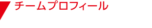 チームプロフィール