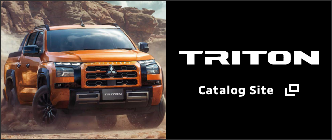 TRITON