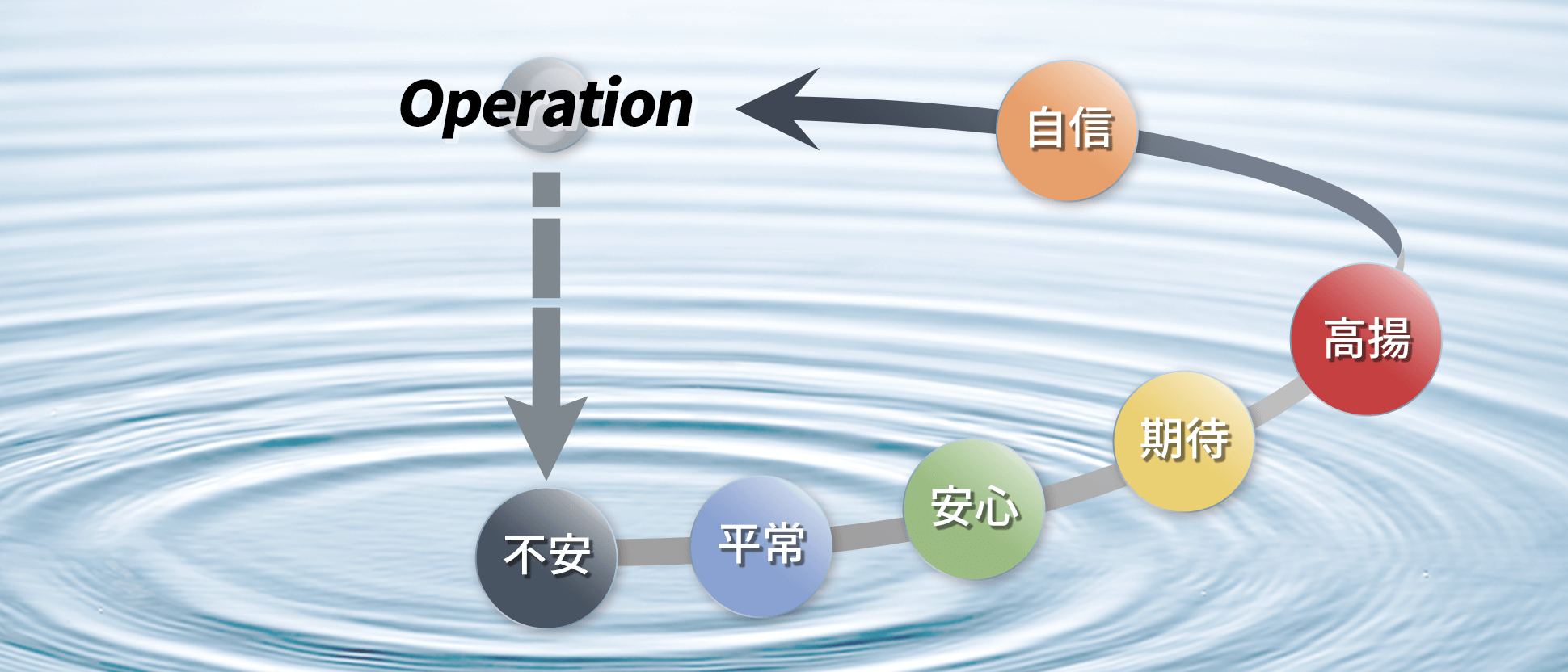 不安→平常→安心→期待→高揚→自信→Operation