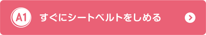シートベルトをしめる