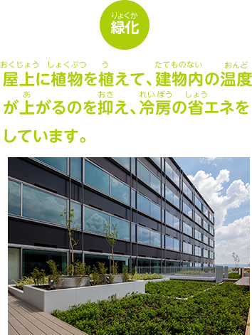 【緑化】屋上に植物を植えて、建物内の温度が上がるのを抑え、冷房の省エネをしています。