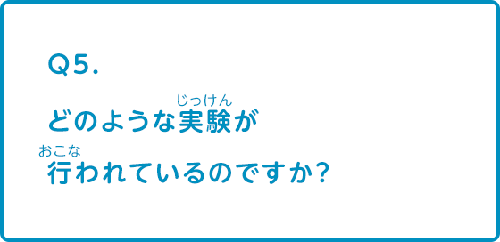 どのような実験が行われているのですか？