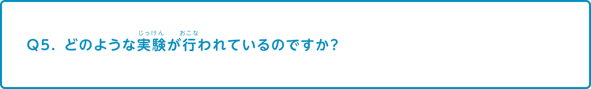 どのような実験が行われているのですか？