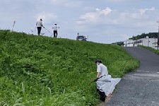 工場敷地に隣接する高梁川河川敷をきれいに