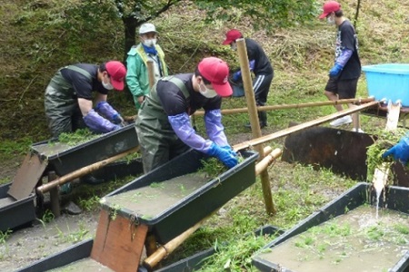 岡崎製作所 新入社員による岡崎市の環境保全活動を実施