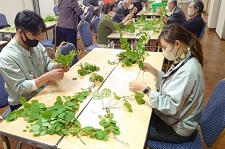 フタバアオイを上賀茂神社に奉納