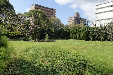 京都工場内の緑地