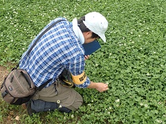 植物調査の様子