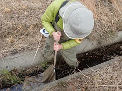 水生生物調査の様子