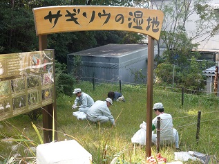 外来草本駆除の様子