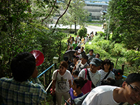 緑地の説明風景