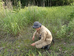 植物調査の様子