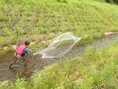 水生生物調査の様子