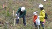 食害に遭った苗木を植え直す様子