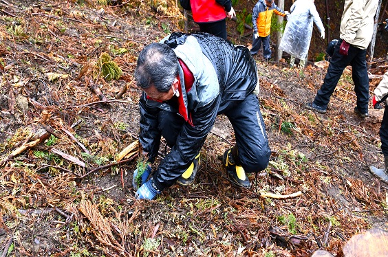 植樹の様子（24日）