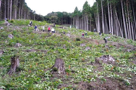 作業後の森