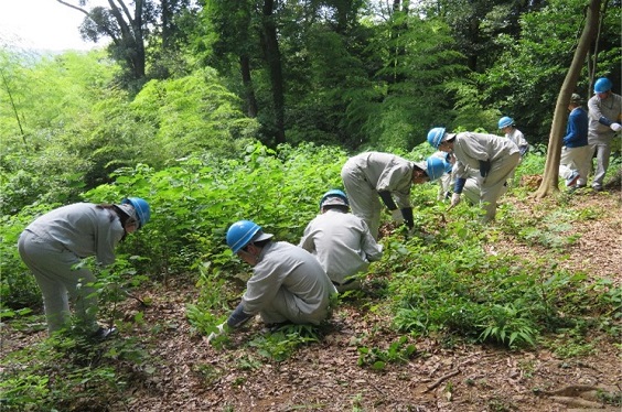 天ケ峯付近の草刈り