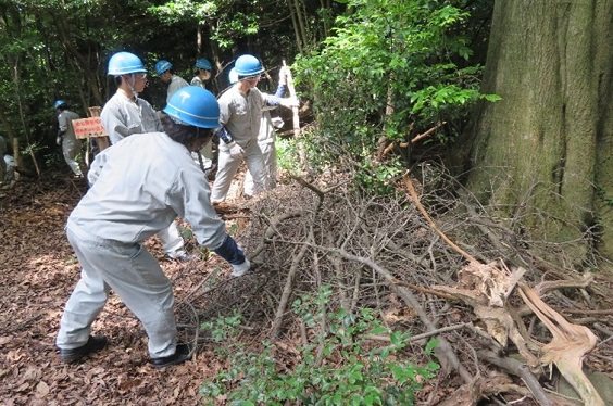 天ケ峯の枯れ枝を散策道わきに廃棄