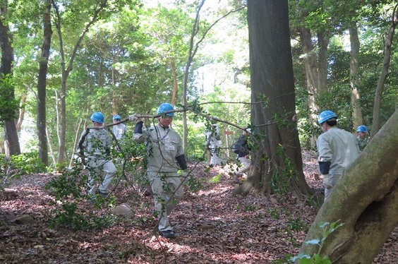 三角広場から天ケ峯までの散策道を整備