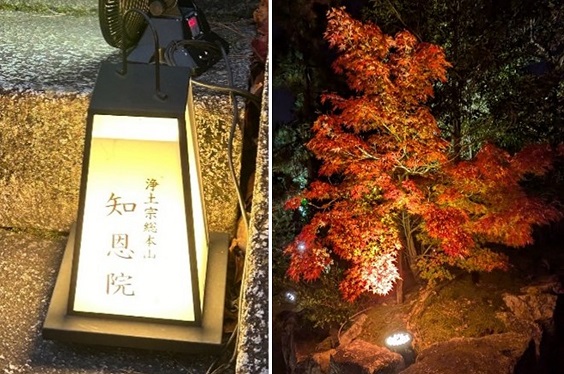 境内で行われていた行灯や紅葉のライトアップ