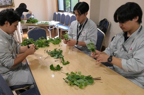 葵桂の奉製作業