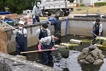 京都工場　ビオトープかいぼりと生物モニタリング調査