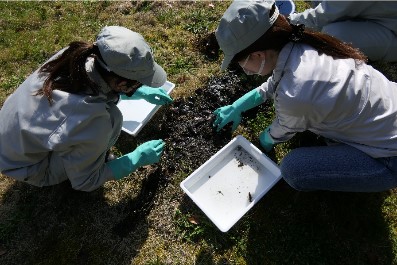 生物を保護している社員①